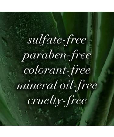 Convenience Kits International 10 PC Deluxe Kit with Herbal Essence Argan Oil Hair & Body Care Travel-Size Products - Buy Online on GoSupps.com