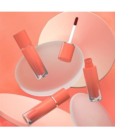 rongweiwang 25g Matte Lipstick Waterproof Long Lasting Travel Handbag Lip Gloss Nonstick Cup Makeup Accessories Girlfriend Gifts Type 3 - Buy Online on GoSupps.com