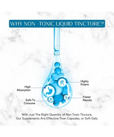 Absonutrix L-Ergothioneine Liquid Supplement 590 mg 200 Servings Made in USA Quick Absorption Quality Potent Ingredients Non-GMO GMP Certified Facility Cruelty-Free Products - Buy Online on GoSupps.com