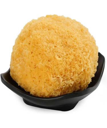 White Fungus Mushroom Tremella Premium Grade (500 Grams) 500 g (Pack of 1) - Buy Online on GoSupps.com