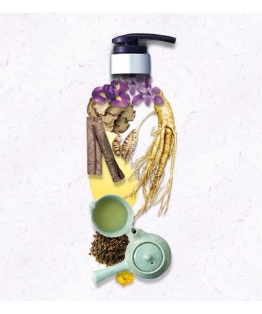 Daeng Gi Meo Ri Jin Gi Vitalizing Set | Nourishing Korean Herbal Hair Care - Shampoo & Treatment for Smooth Shiny Frizz-Free Hair - 100% Domestic Oriental Herb - Buy Online on GoSupps.com