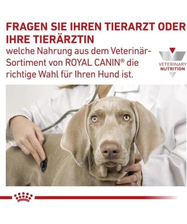 ROYAL CANIN Veterinary Renal Dog Food 2.4 kg Chicken Complete Diet for Adult Dogs Can Help Support Kidney Function in Chronic Renal Failure - Buy Online on GoSupps.com