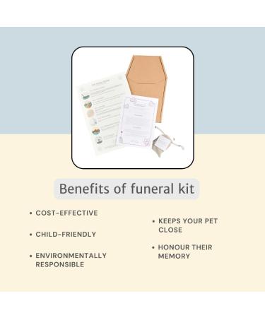 The Pet Rainbow | Small Animal Funeral Kit with Pet Coffin & Casket | For Hamsters, Guinea Pigs, Birds, Gerbils, Reptiles, Fish | Cardboard Coffins | Up to 6kg | 275mm x 150mm x 100mm - Buy Online on GoSupps.com