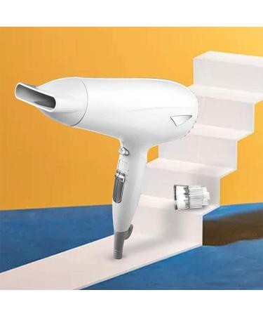 Professional Hair Dryer 2000W Negative Ionic Hairdryer Salon Hair dryerwith Hot-Cold Heat Setting Diffuser Concentrator with 3 Heat Settings and 2 Speed Settings for Home & Salon Small Gift - Buy Online on GoSupps.com