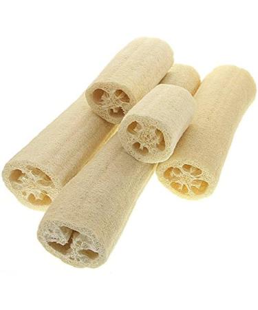 Luffa Cucumber Sponge - Natural Fiber Bath & Body Sponge | Kosmetex 19 cm (1 Pack) - Eco-Friendly Exfoliation - Buy Online on GoSupps.com