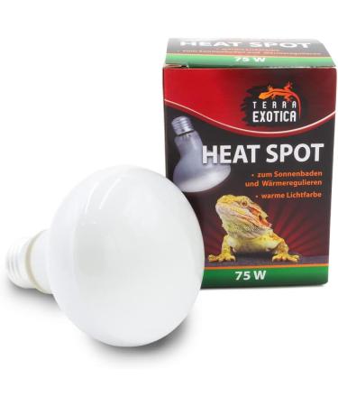 Terra Exotica 75W Heat Spot Bulb for Reptiles - 3 Pack Terrarium Lighting - Optimal Heat for Reptile Habitats - 25W 40W 60W 100W 150W Options Available - Buy Online on GoSupps.com