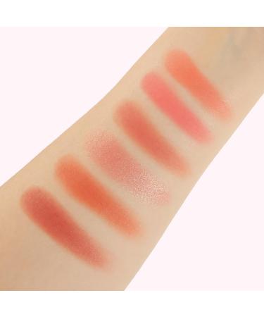 PHOERA Cream To Powder Canned Blush Mud Lightweight Longwear Cheek Blush with Puff & Mirror Matte & Shimmer Finish 6 Buildable Shades for Natural Radiant Glow 04 Saucy One Size - Buy Online on GoSupps.com