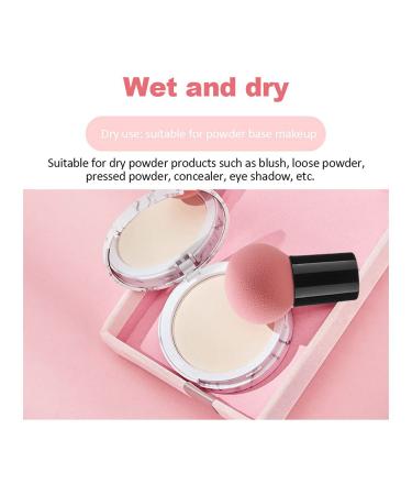 Shop Pink Mushroom Makeup Brush & Foundation Sponge - Perfect for Liquid & Powder Application | International Shipping - Buy Online on GoSupps.com