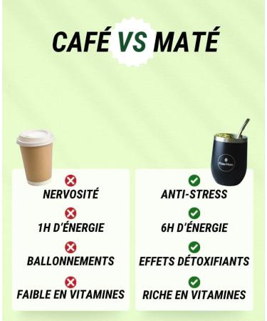 FRAT MAT Yerba Mat Menthe Bio 500G | sans Amertume |Frais et Menthol | Id al pour d buter sa journ e | 0 Poussiere - Buy Online on GoSupps.com