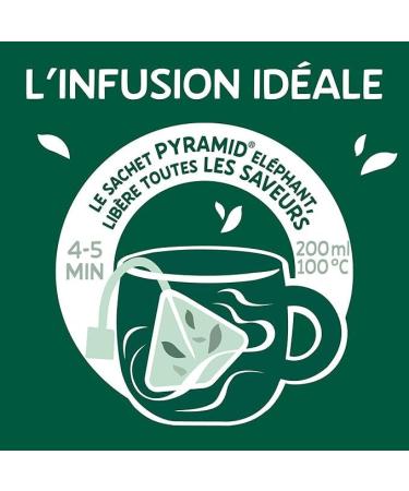 Elephant Infusion Go t Pomme Cannelle et Figue Certifi Rainforest Alliance Ingr dients d'Origine 100% Naturelle 240 Sachets Pyramid - Buy Online on GoSupps.com