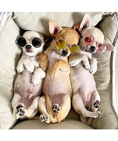 Molain Pet Sunglasses - 4Pcs Round Classic Cat UV Protection for Small Dogs & Dolls | Party Cosplay Costume Photo Props - Buy Online on GoSupps.com