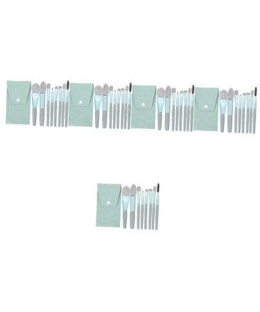 minkissy 5 Sets Travel Makeup Eyeshadow Brush Face Makeup Brush Travel Kits for Women Brush for Makeup Women Makeup Supplies Cosmetology Kit Soft Cosmetic Brush Miss Aluminum Tube