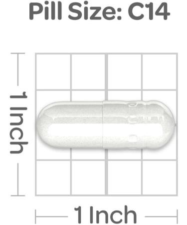Puritan's Pride Glucosamine Chondroitin & MSM Supplement - 3 Per Day Formula - Buy Online on GoSupps.com