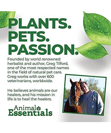 Animal Essentials Seasonal Allergy Herbal Supplement for Dogs & Cats - USA Made, Sweet Tasting Relief - 1 fl oz - Buy Online on GoSupps.com