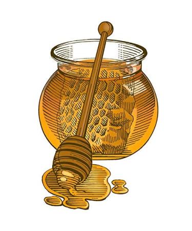 Burt's Bees Honey Moisturizing Lip Balm 0.15 oz - Pack of 4 - Buy Online on GoSupps.com