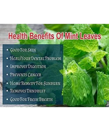 Mint Leaf Powder | Pudina Leaf Powder - 100 GM - Buy Online on GoSupps.com