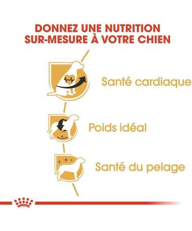 Royal Canin Dog Food Cavalier King Charles 27 Dry Mix 7.5kg - Buy Online on GoSupps.com