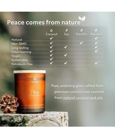 Citronella Stress Relief Candle - 8.5 oz | Natural Coconut Wax | Ideal Gifts for Men & Women | Summer & Yoga Relaxation - Buy Online on GoSupps.com