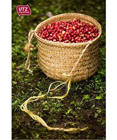 CAFES GUILIS SINCE 1928 LOVERS OF COFFEE - High Quality Organic and Fair Trade Arabica Ground Coffee with Natural Roasting - 2 kg - Buy Online on GoSupps.com