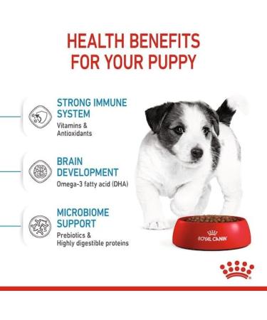 ROYAL CANIN Puppy Mini | Double Pack | 2 x 800 g | Dry Dog Food | Complete Food for Dogs | for Small Puppies (Final Weight: up to 10 kg) - Up to 10 Months - Buy Online on GoSupps.com