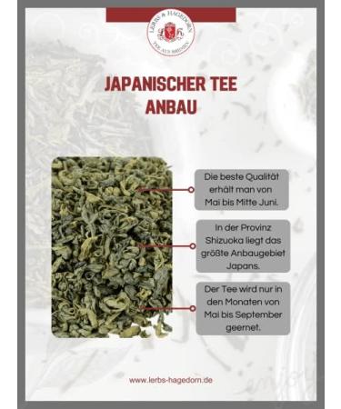  Lerbs & Hagedorn Lerbs & Hagedorn Organic Japanese Tamaryokucha Green Tea | Nutty Notes 1 kg (approx. 81 liters) Lime Green Cup - Buy Online on GoSupps.com
