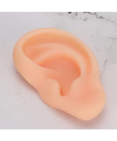 Silicone Left Ear Acupuncture Practice Model - Professional Massage Teaching Tool - Buy Online on GoSupps.com