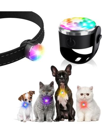 UMIONE PET LIGHT: Waterproof dog light durable and ideal for night walks (UMIONE-WHITE-01) Blanc Paquet Unique - Buy Online on GoSupps.com