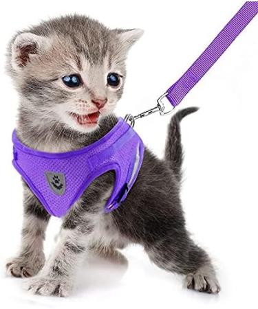 Buy Femax Soft Mesh Dog Harness & Linen Set - Adjustable Reflective Breathable for Puppies & Cats (Chest 35-40 cm) - Perfect for Walking Running & Training - Purple - Buy Online on GoSupps.com