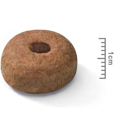 ROYAL CANIN Roybj Maxi Sterilised Dog Food 1 x 3 kg - Buy Online on GoSupps.com