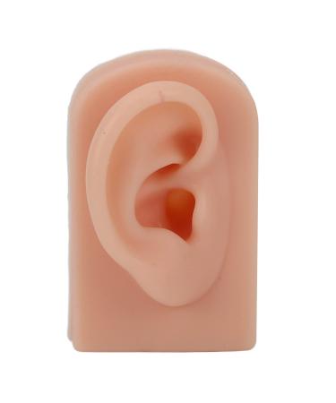 Ear Model Soft Silicone Right Human Ear Model Rubber Fake Ear for Jewelry Display Flexible Artificial Real Ear Mold Ear Display Teaching Aid for Piercing Practice Acupuncture(Dark Skin)