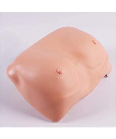 Portable Female Breast Review Template Natural and Realistic Style Chest Template Used for Medical Students to Practice Verification - Buy Online on GoSupps.com