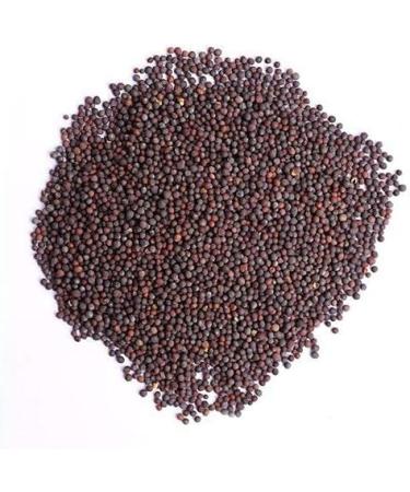 TRS Mustard Seeds | 100G | Mustard Seeds for Cooking |Perfect for Pickling and Spice Blends |Gluten Friendly | Non-GMO | Vegan | Indian Origin (Pack of 2) - Buy Online on GoSupps.com