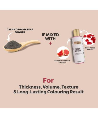 Mina Eyebrow Hair Color - Natural Tinting Powder | Water & Smudge Proof | No Ammonia No Lead | 100% Gray Coverage | Vegan & Cruelty-Free (Graphite + Oil + Brush - Buy Online on GoSupps.com