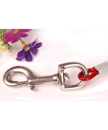 Wolike Dog Tie Out Cable and Stake Dog Wire Traction Rope Heavy Duty Stake-Out Dog Spike Spiral Pet Fixed Pile Outdoor Grass Dog Towing Rope (16FT/5M Red) 16FT/5M Red - Buy Online on GoSupps.com