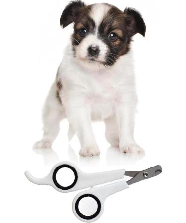 TOSSPER Professional Pet Nail Clipper Scissor Cutter for Dog Cat Claw Bird Guinea Pigs Puppies Rabbits Animal Grooming Stainless Steel Trimmer - Buy Online on GoSupps.com