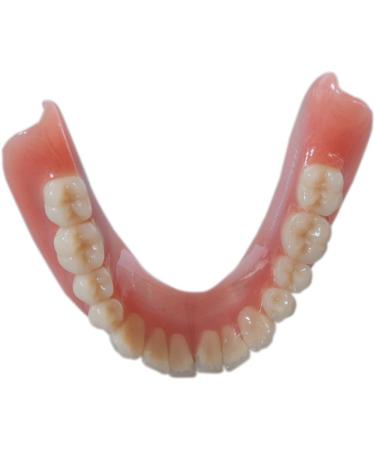 Buy reinerDENT3 High Concentrate Denture Cleaner | Effective & Gentle International Shipping - Buy Online on GoSupps.com
