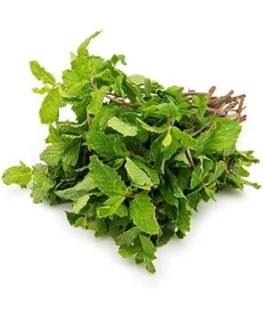 Fresh Mint Leaf Bunch | Double Bunch | Vegetarian | Mint Indian herb | Fresh Leaf | Fresh Mint Leaves | Indian Origin | Approx 250-300g| Next Day Shipping By Seelans - Buy Online on GoSupps.com