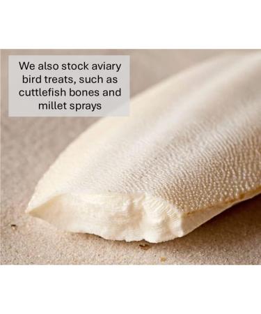 Millet Sprays x 10 Premium Cage Bird Food Seed Natural 10 count (Pack of 1) - Buy Online on GoSupps.com