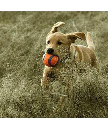 Chuckit! Ultra Ball Dog Toy Medium - Pack of 2 Balls - Buy Online on GoSupps.com