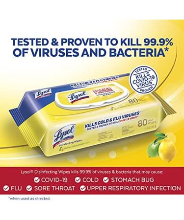 Lysol Disinfectant Handi-Pack Wipes  Multi-Surface Antibacterial Cleaning Wipes  for Disinfecting and Cleaning  Lemon and Lime Blossom  480 Count (Pack of 6) - Buy Online on GoSupps.com
