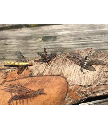 Synthfly Lifelike Mayfly Pack - Gray & Brown Drake in Sizes 10 12 14, Danica in Sizes 10 12 - Fly Fishing Essential Set of 8 Mayflies - Buy Online on GoSupps.com