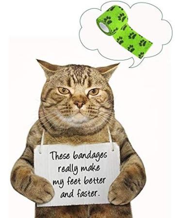 Kulannder 8 Rolls Self Adhesive Bandage for Dog Bandage for Dogs Paws Legs Injury Do not Stick to Fur High Elastic and Breathable - Buy Online on GoSupps.com