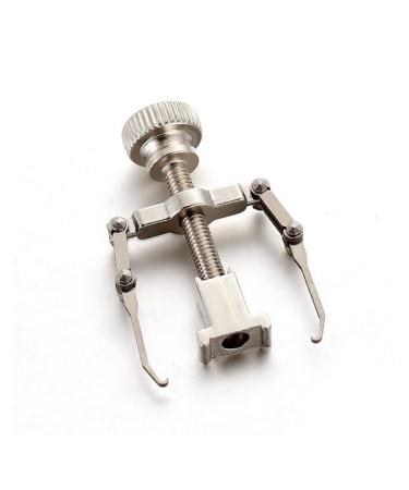 SJLS Pedicure Tool Ingrown Toe Nail Corrector Paronychia Chiropody Podiatry Foot Care Repair Nail Clipper (Color : Silver)
