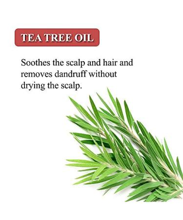 Karma Naturals Green Tea Shampoo Bar - Nourishing Haircare for Healthy Locks | Eco-Friendly & International Shipping - Buy Online on GoSupps.com