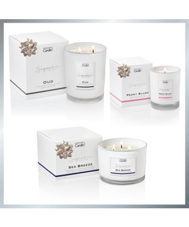 Luxury Scented Candle Gift for Women | Natural Wax Blend | 45 Hours Burn Time | Hotel Collection - Pomelo (7oz) by The Copenhagen Company - Buy Online on GoSupps.com