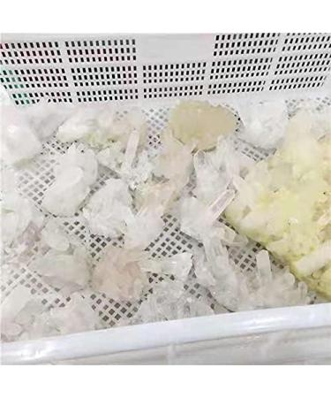 1pc Quartz Natural White Minerals Specimen Crystals Cluster for Stones 500-650g - Buy Online on GoSupps.com