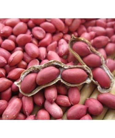 Fudco Peanut Red | 1KG | Dry Fruits And Nuts | Vegan | Natural Nut | High Protein | High Fibre| Indian Origin Pack 1 - Buy Online on GoSupps.com