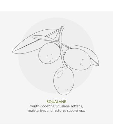 Age Defy+ Tinted Moisturizer LSF15 - Organic & Vegan Day Cream with Color Correction | 30ml Cha V htz | Paraben & Ethanol-Free Cruelty-Free - Buy Online on GoSupps.com