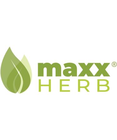 Maxx Herb Organic Nopal Cactus Powder - Digestion & Immune Support - High Fiber & Calcium - Vegan, Non-GMO, Gluten Free - 12 oz Bag - Buy Online on GoSupps.com