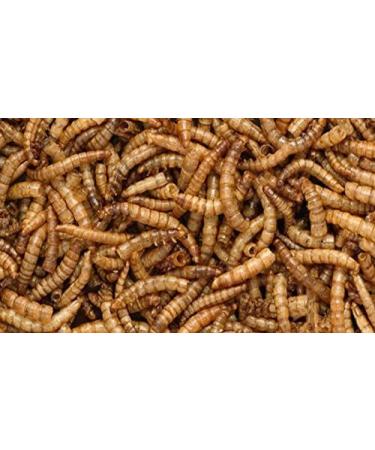 Pondovit Mealworms Premium Snack for Koi - 5L Treats (1 Pack) | Best International Delivery - Buy Online on GoSupps.com